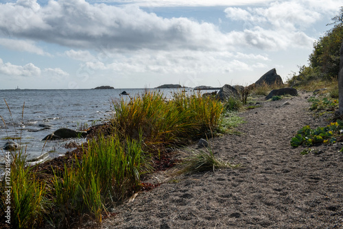 Early Fall in Hvasser