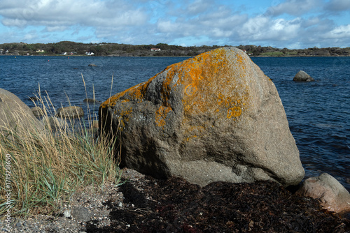 Lichen Covered Boulder