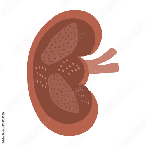 chronic kidney disease