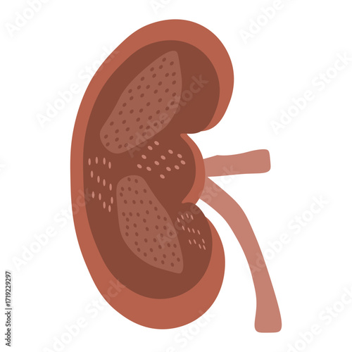 chronic kidney disease