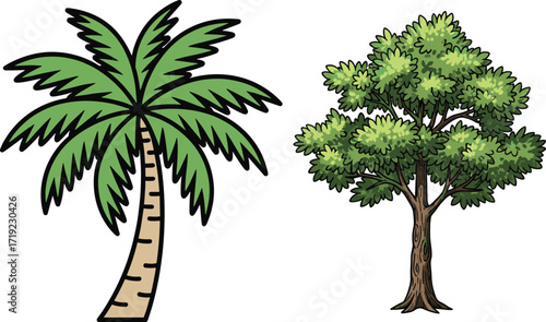 Cartoon palm and deciduous tree illustration, tropical and temperate nature contrast vector for educational, decorative, botanical, and stock use.
