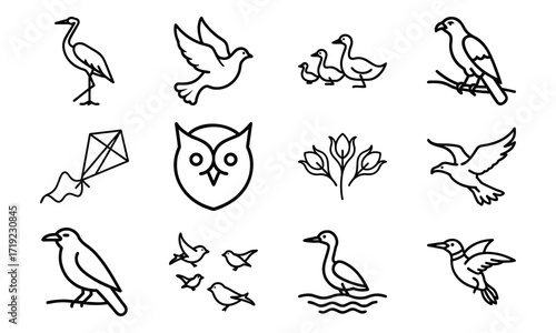 Collection of Line Art Icons – Birds, Flying Dove, Duck Family, Owl Face, Hummingbird, Parrot, Kite, Crane, and Decorative Floral Symbol Outline on White Background