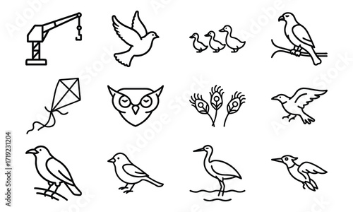 Collection of Line Art Icons – Birds, Flying Dove, Duck Family, Owl Face, Hummingbird, Parrot, Kite, Crane, and Decorative Floral Symbol Outline on White Background