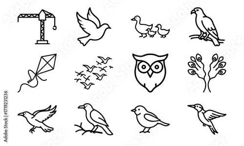 Collection of Line Art Icons – Birds, Flying Dove, Duck Family, Owl Face, Hummingbird, Parrot, Kite, Crane, and Decorative Floral Symbol Outline on White Background