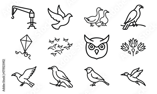 Collection of Line Art Icons – Birds, Flying Dove, Duck Family, Owl Face, Hummingbird, Parrot, Kite, Crane, and Decorative Floral Symbol Outline on White Background