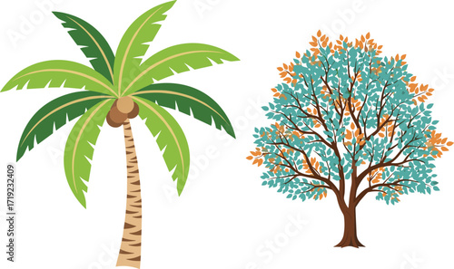 Coconut palm and deciduous tree illustration, tropical and seasonal foliage contrast vector for educational, botanical, decorative, and stock use.