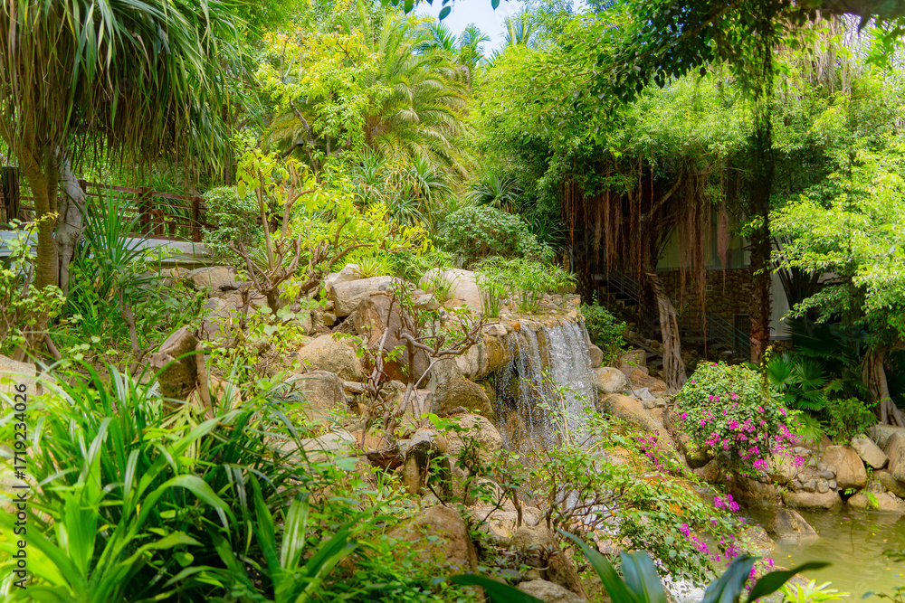 Obraz premium The territory of the hotel has an ornamental garden.Five-star hotel in Cam Ranh. Vietnam. 