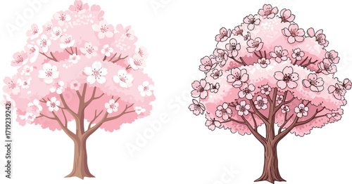 Minimalistic and Realistic Cherry Blossom Tree Side by Side in Springtime Nature Vector Illustration Featuring Pink Flowers and Artistic Branch Design