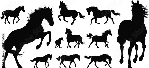 Horse silhouettes vector collection showing running, walking, rearing, standing, and foal poses in black outlines for design, decoration, illustration.