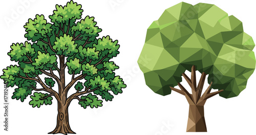 Realistic and geometric tree illustration, contrasting nature styles in vector format for educational, decorative, botanical, and modern design use.