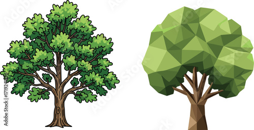 Realistic and geometric tree illustration, nature contrast vector art showing stylized foliage design for educational, decorative, and stock use.