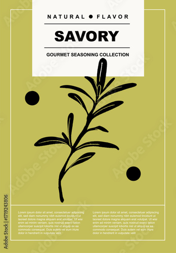 Savory. Set of posters of spices and herbs in a abstract draw design. Label or poster for food preparing and culinary. Simple, flat design. For poster, cover, banner.	