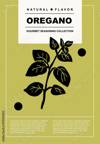 Oregano. Set of posters of spices and herbs in a abstract draw design. Label or poster for food preparing and culinary. Simple, flat design. For poster, cover, banner.	