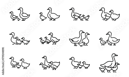 Collection of Line Art Icons – Birds, Flying Dove, Duck Family, Owl Face, Hummingbird, Parrot, Kite, Crane, and Decorative Floral Symbol Outline on White Background