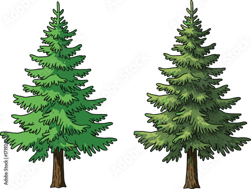 Stylized and Realistic Evergreen Tree Side by Side in Nature-Themed Vector Illustration Featuring Green Foliage, Conical Shape, and Branch Texture