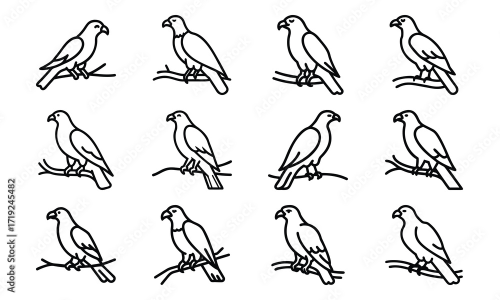 Obraz premium Collection of Line Art Icons – Birds, Flying Dove, Duck Family, Owl Face, Hummingbird, Parrot, Kite, Crane, and Decorative Floral Symbol Outline on White Background