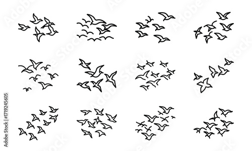 Collection of Line Art Icons – Birds, Flying Dove, Duck Family, Owl Face, Hummingbird, Parrot, Kite, Crane, and Decorative Floral Symbol Outline on White Background
