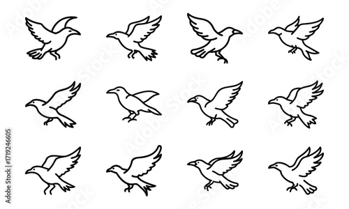 Collection of Line Art Icons – Birds, Flying Dove, Duck Family, Owl Face, Hummingbird, Parrot, Kite, Crane, and Decorative Floral Symbol Outline on White Background