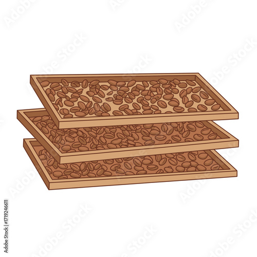 Three wooden trays of coffee beans drying.
