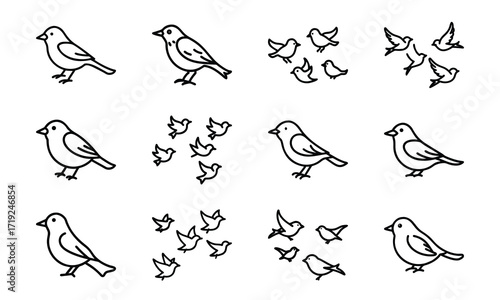 Collection of Line Art Icons – Birds, Flying Dove, Duck Family, Owl Face, Hummingbird, Parrot, Kite, Crane, and Decorative Floral Symbol Outline on White Background