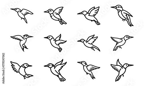Collection of Line Art Icons – Birds, Flying Dove, Duck Family, Owl Face, Hummingbird, Parrot, Kite, Crane, and Decorative Floral Symbol Outline on White Background