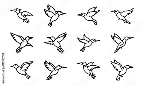 Collection of Line Art Icons – Birds, Flying Dove, Duck Family, Owl Face, Hummingbird, Parrot, Kite, Crane, and Decorative Floral Symbol Outline on White Background