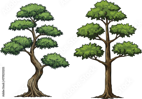 Twisted and upright tree illustration, foliage structure contrast vector art for educational, botanical, decorative, landscape, and stock content use.
