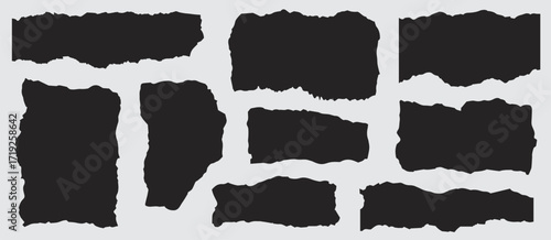 Eight irregular black paper fragments are positioned against a soft gray background, creating a modern texture
