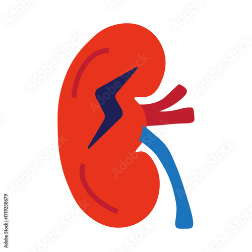 Acute Kidney Injury