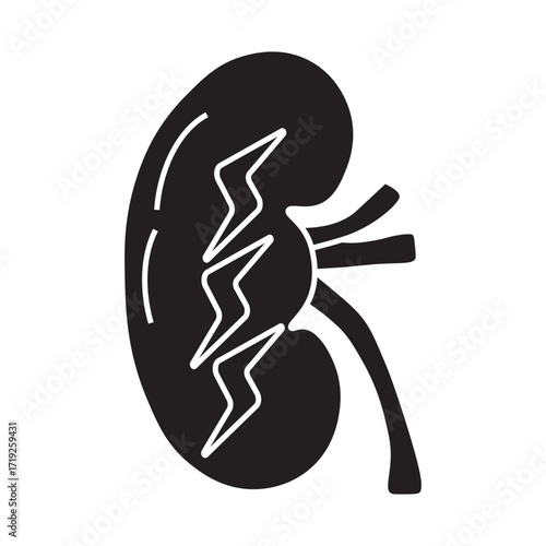 Acute Kidney Injury Glyph Icon 