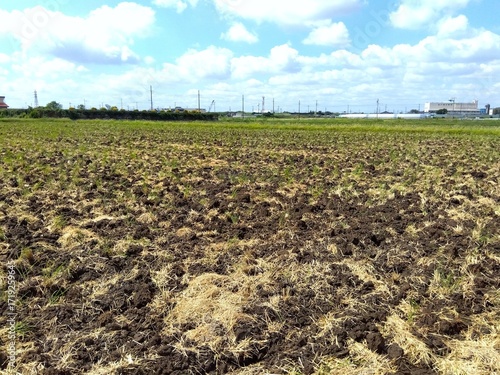 秋の収穫後の藁の残る耕作された近郊の田んぼ風景