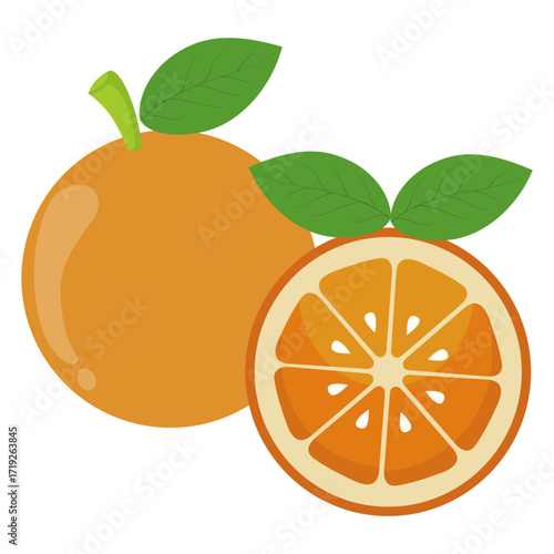 this is a vector image of an orange fruit