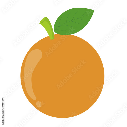 this is a vector image of an orange fruit