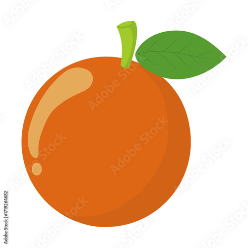 this is a vector image of an orange fruit
