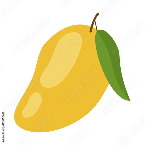 This is a vector image of a mango fruit.