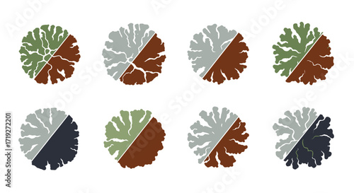 Set of tree top view symbols for landscape design and architectural plans.