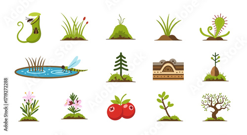 Vector set of swamp and forest plants and natural elements.
