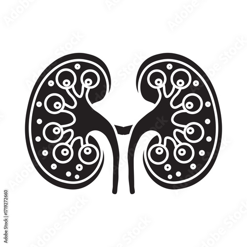 Glomerulonephritis glyph icon