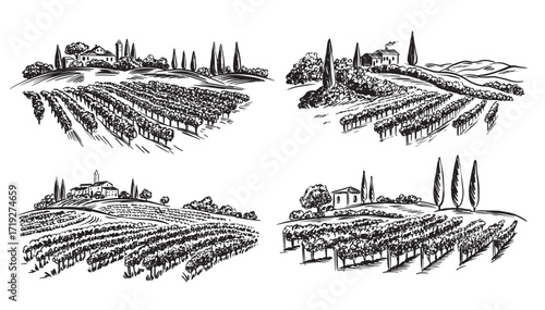 Vineyard landscape with building on the hill hand drawn, set.	
