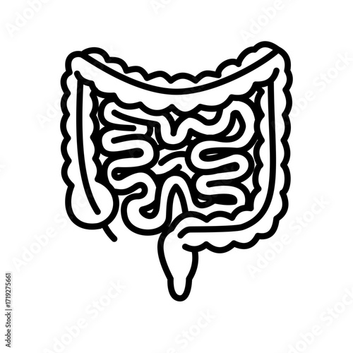 Minimal line icon of human intestines and digestive system. Suitable for medical illustration, healthcare education, hospital infographics, and biology learning
