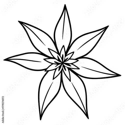 Minimalist Star of Bethlehem Line Art Vector Illustration on White Background