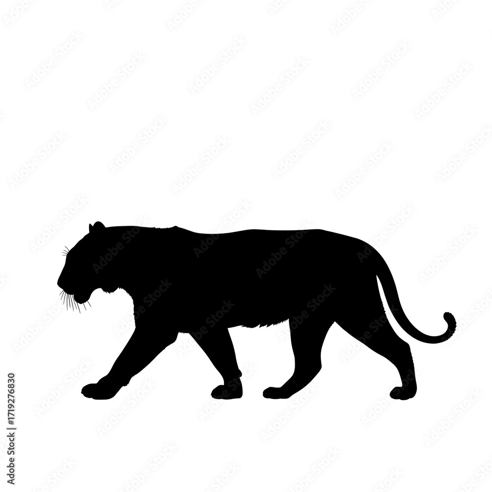 Obraz premium Silhouette of a black panther walking isolated on transparent background