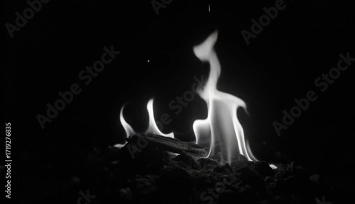 fire burning on wood in dark night creating glowing flames