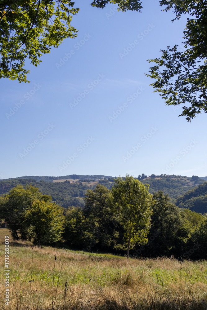 Fototapeta premium autumn landscape with trees