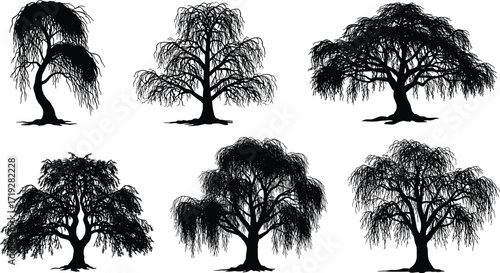Willow tree silhouettes, drooping branches, nature illustration, black and white forest art, botanical design, landscape element, decorative graphic, eco concept, minimal style, natural background