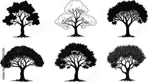 Stylized tree silhouette, diverse foliage artwork, outlined tree design, black silhouette illustration, decorative forest element, artistic woodland drawing, nature concept, graphic resource