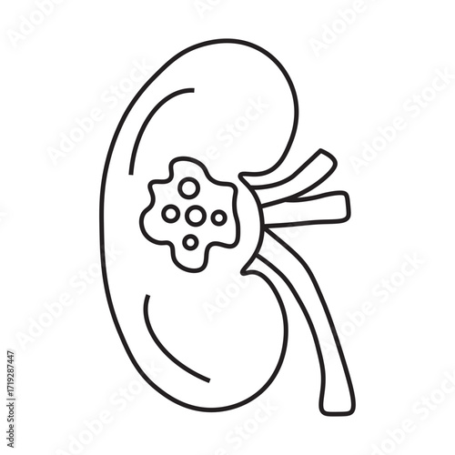 kidney cancer line icon