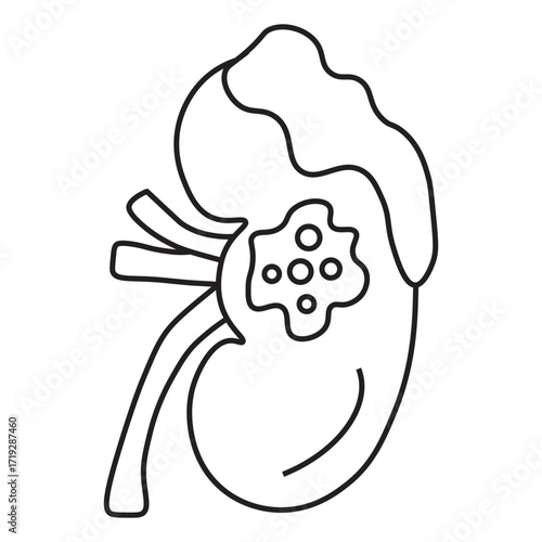 kidney cancer line icon