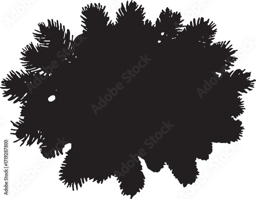 Black and white image depicting silhouette of pine tree branches
