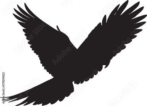 Elegant monochrome silhouette of a soaring bird wing in flight